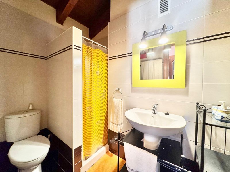 C/ ROSALIA DE CASTRO