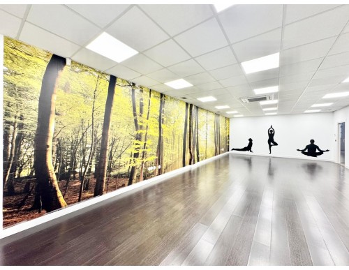 C/ CASTILLO DE ESKIBEL