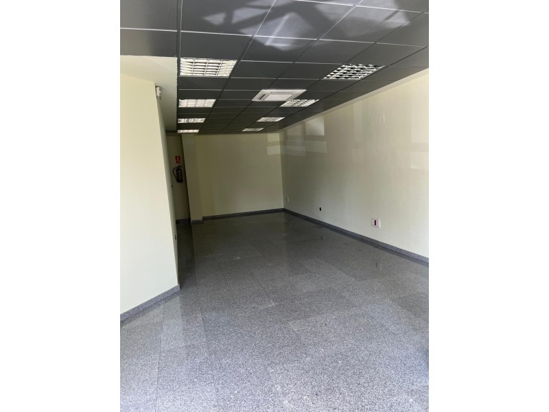 AVENIDA 8 DE MARZO